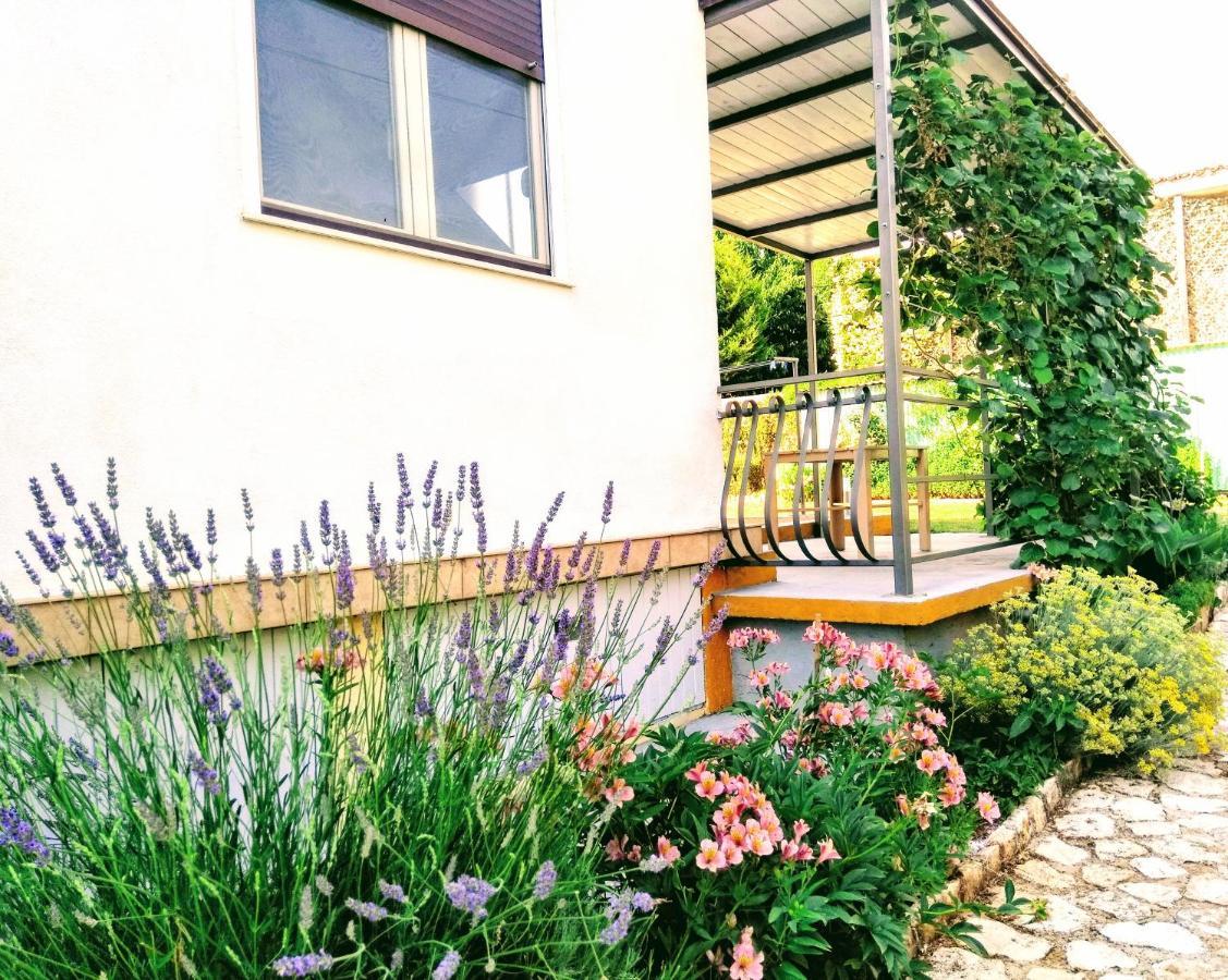 Apartments And Room Markovic Rovinjsko Selo Kültér fotó