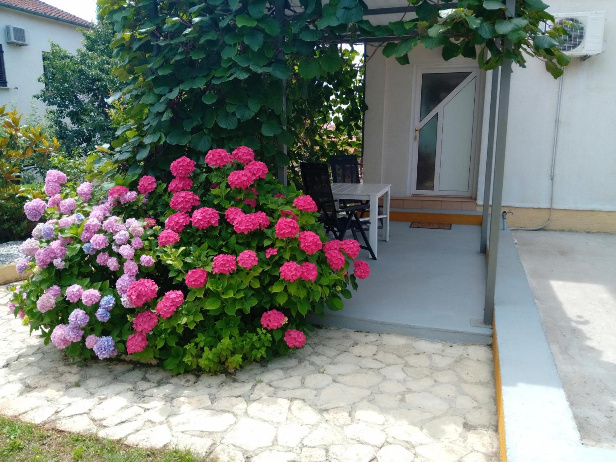 Apartments And Room Markovic Rovinjsko Selo Kültér fotó