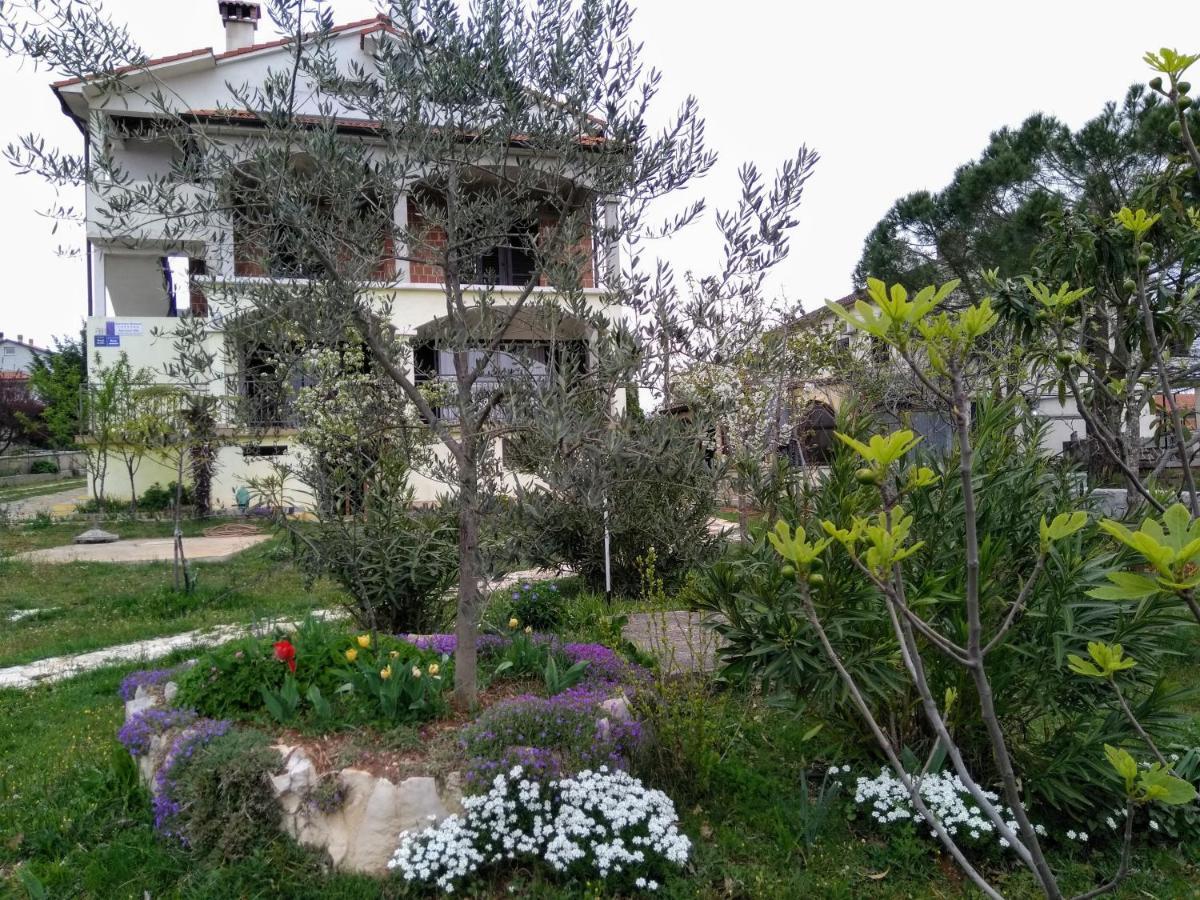 Apartments And Room Markovic Rovinjsko Selo Kültér fotó